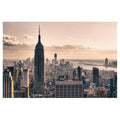 Winter in New York Decorative Picture F292