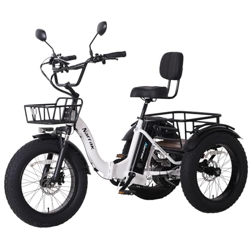 750W 48V13Ah 20"x4.0" Aluminum Folding Fat Tire 3 Wheel Electric Trike F337281