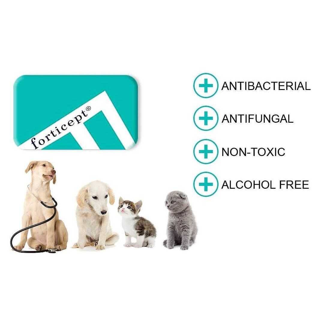Blue Hot Spot Treatment for Dogs & Cats A4236