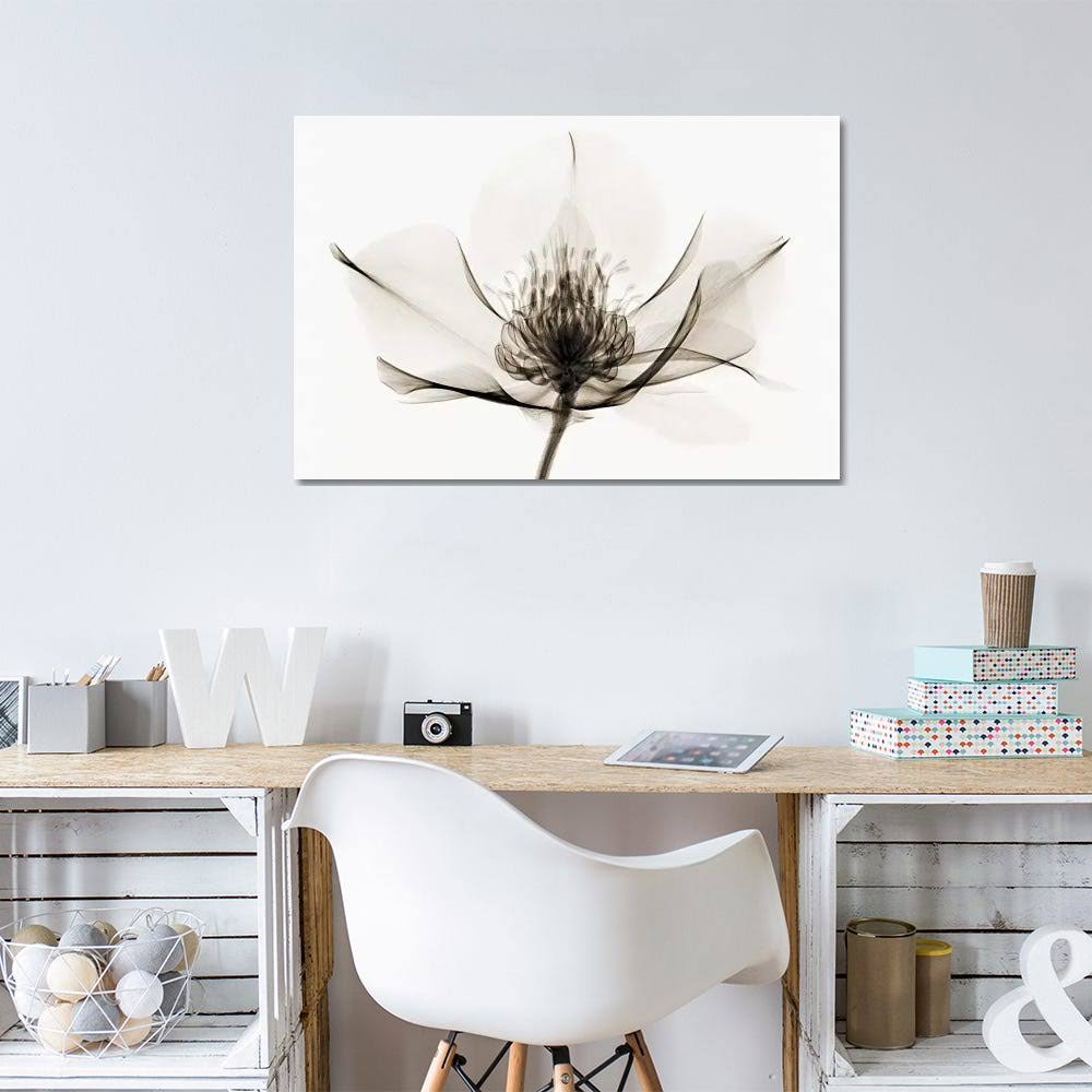 Canvas Wall Decor Prints H4449
