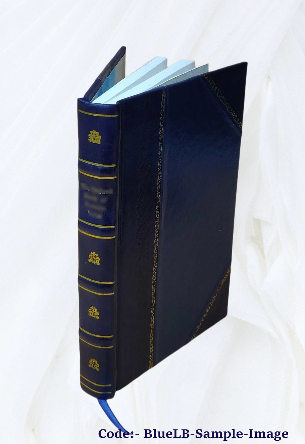 Will-power 1902 Leather Bound W951