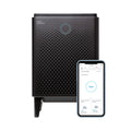 Graphite True HEPA Air Purifier with 1560 sq ft Coverage Q645