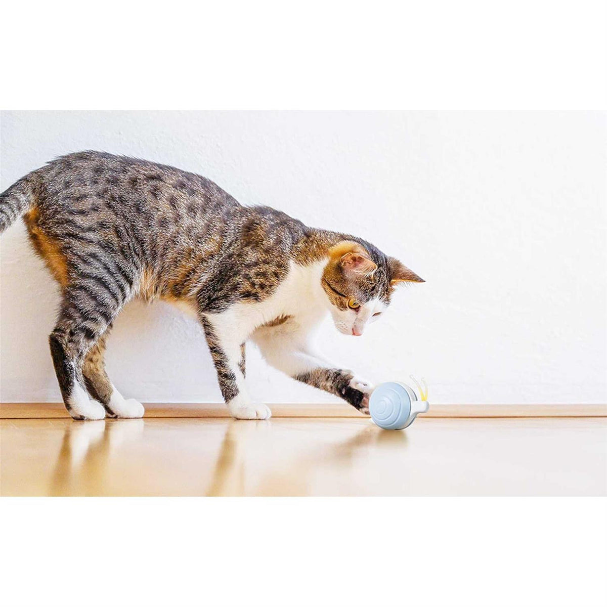 Interactive Cat Toy U368307