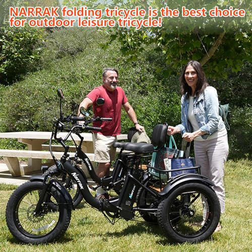 750W 48V13Ah 20"x4.0" Aluminum Folding Fat Tire 3 Wheel Electric Trike F337281