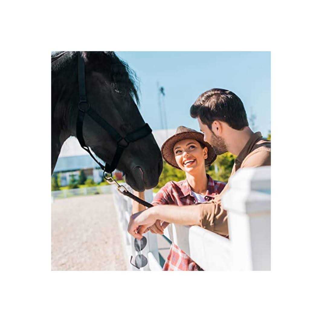 Easy Breathe Grazing Muzzle E3849