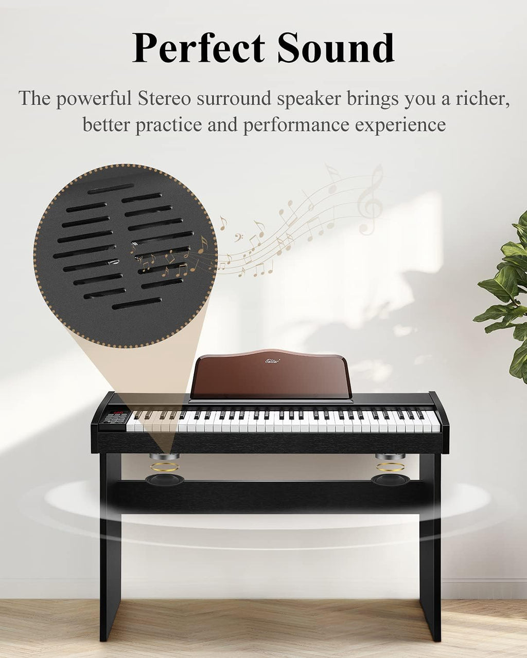 61 Key Full Size Digital Piano with Sustain Pedal & Music Stand Z220