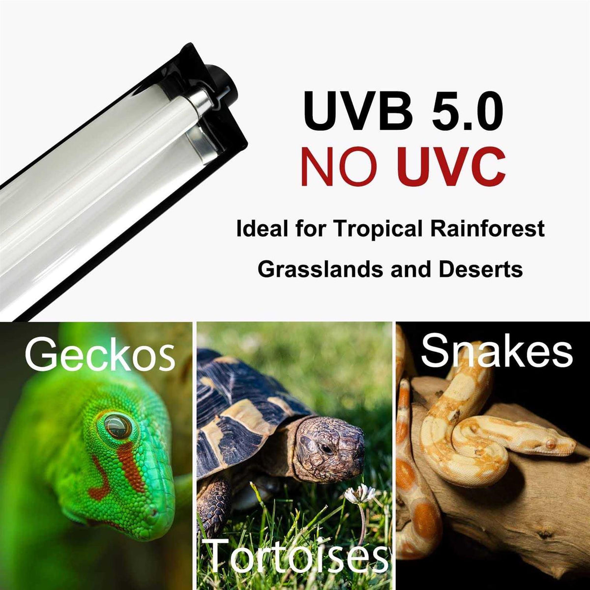 T5 HO UVB Lighting Combo Kit with UVB 10.0 Fluorescent Tube O236916