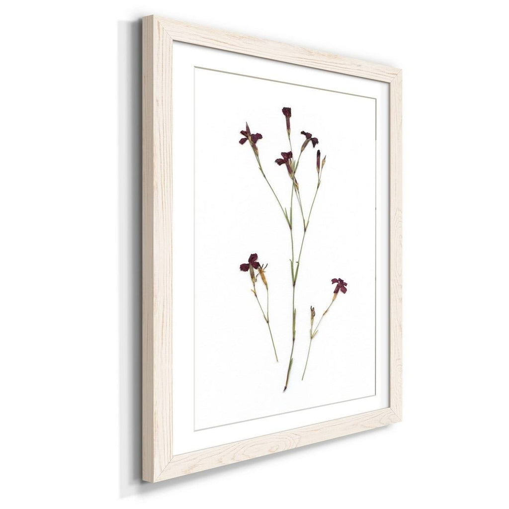 Framed Print 27.5X37.5 Black R215