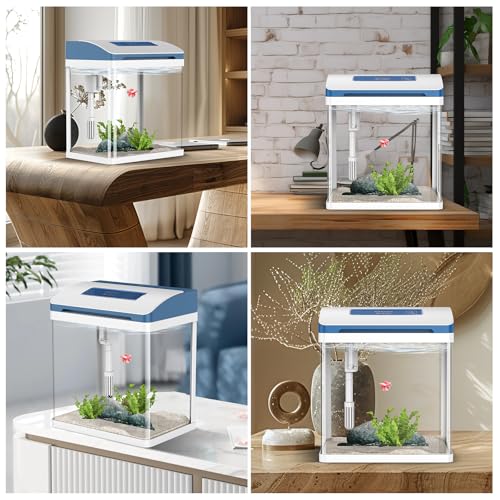 2 Gallon Glass Self-Cleaning Small Fish Tank T817309