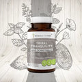 60 Capsules 500 mg Skullcap Lemon Balm Holy Basil Reishi Mushroom Valerian Y638318