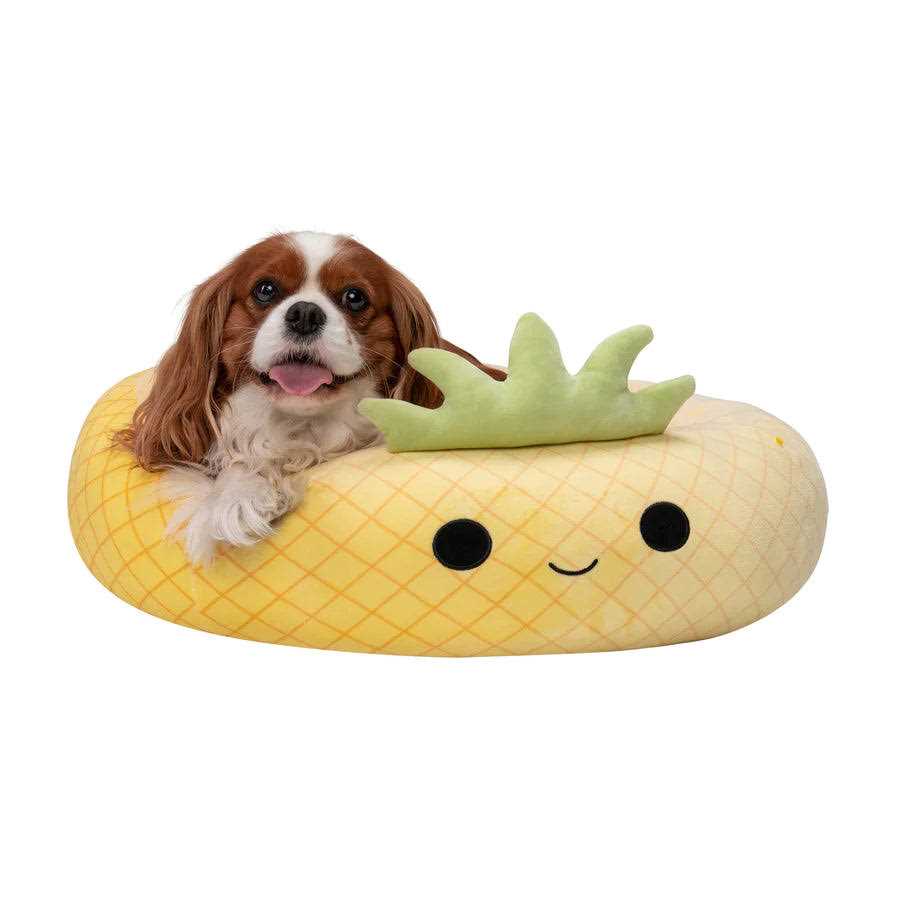 Pineapple Pet Bed W1217