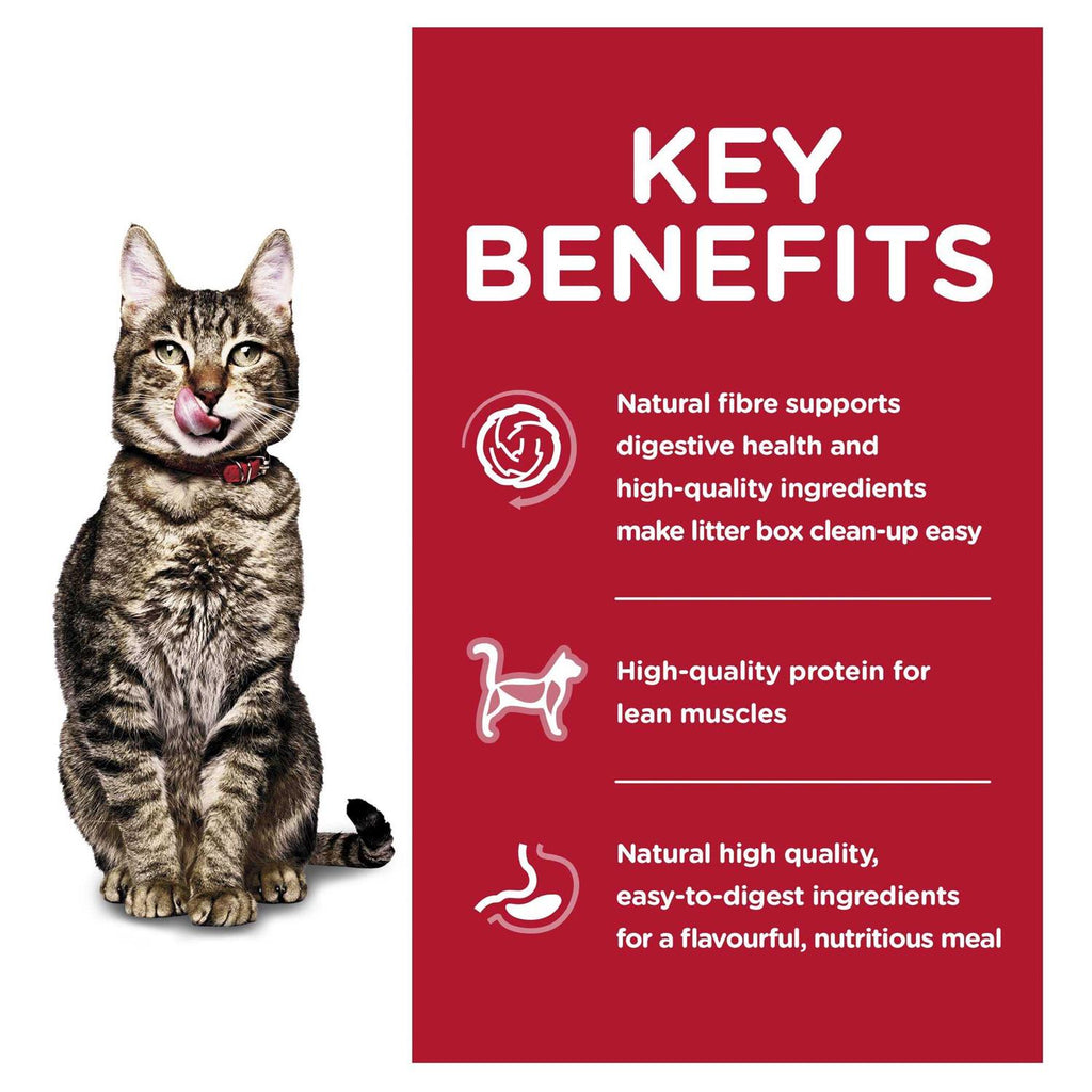 Adult 7+ Indoor Dry Cat Food X14124