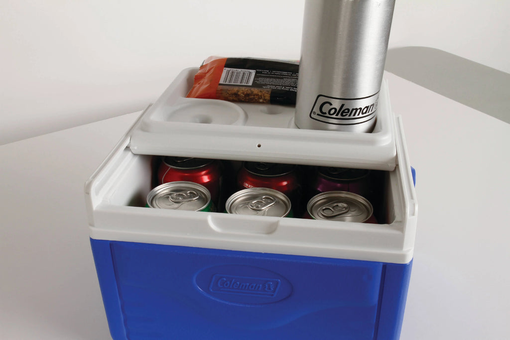 5 Quart Hard Sided Cooler A911677