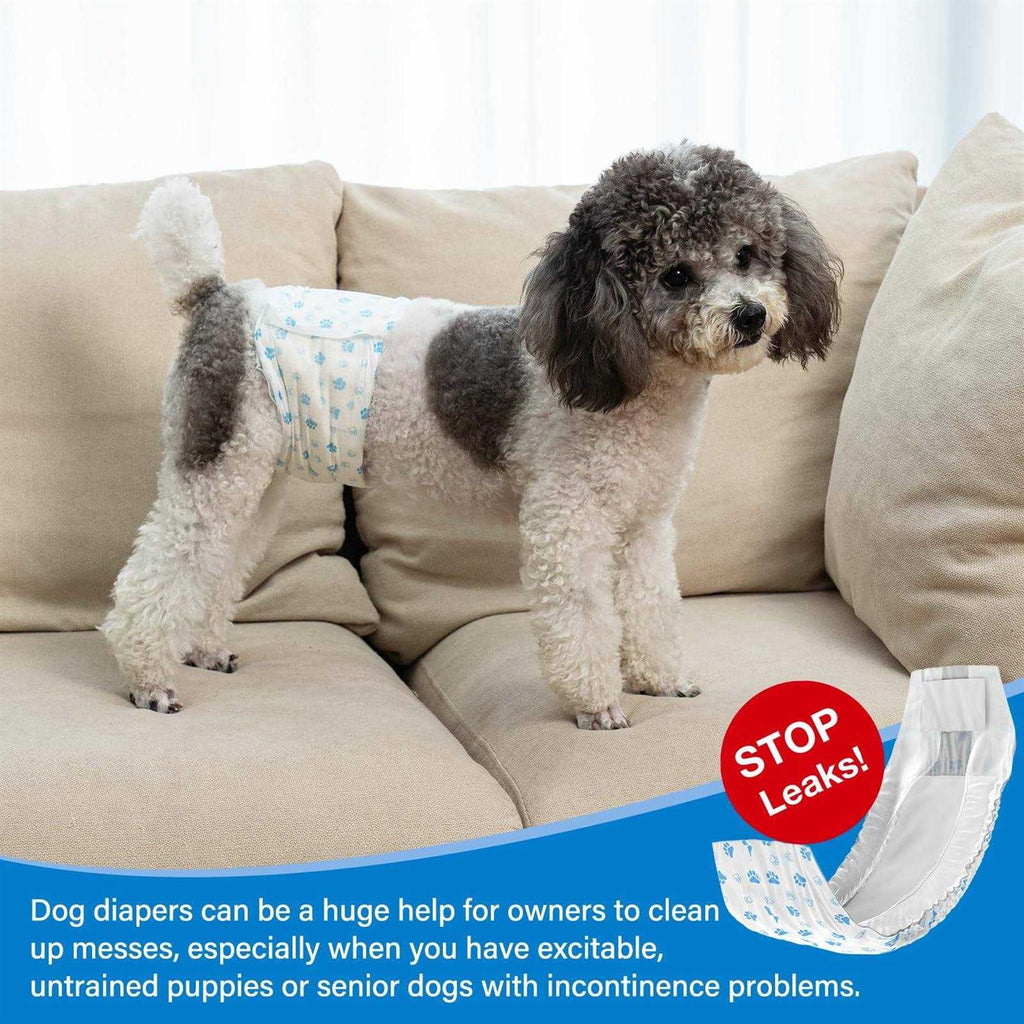 Soft Disposable Male Dog Diaper 12Pcs M P25310