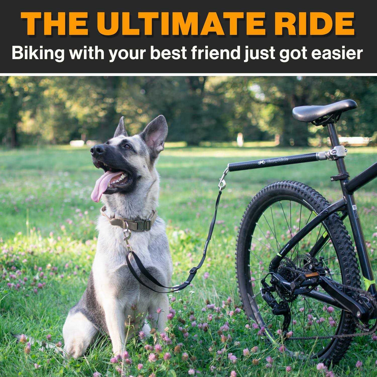 Rotating Dog Bike Leash With Shock Absorbers Q768612