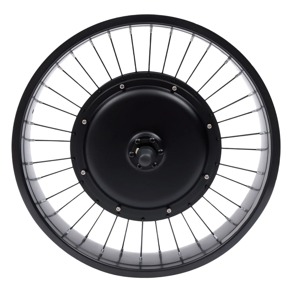 20" Electric Bicycle Front Wheel Conversion Kit Fat Tire 1000W 48V J6371