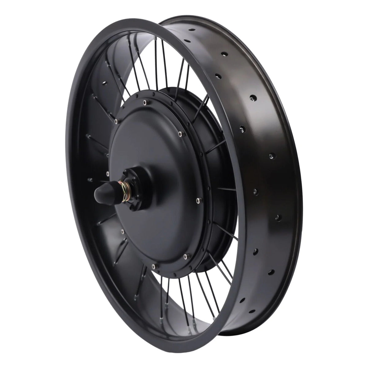 20" Electric Bicycle Front Wheel Conversion Kit Fat Tire 1000W 48V J6371