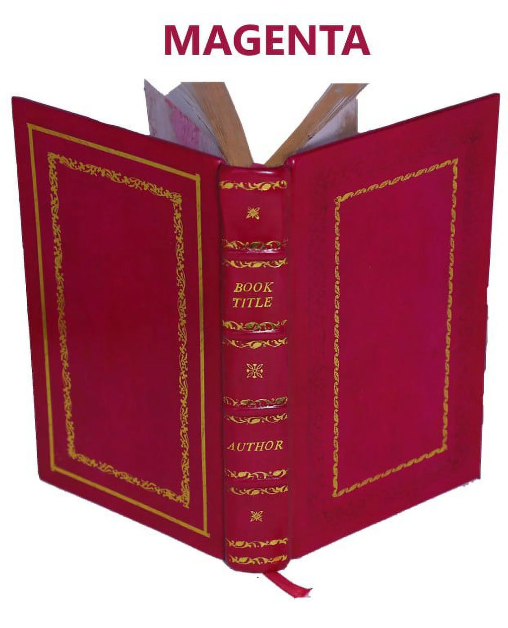 Premium Leather Bound Report E3935