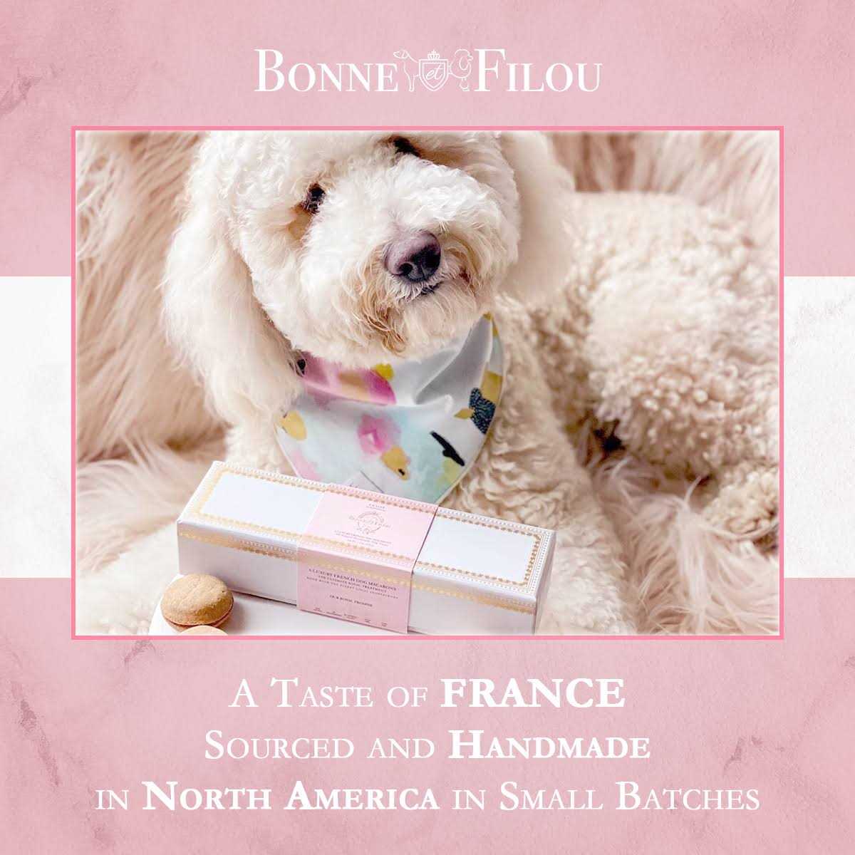 Dog Macarons Y24420