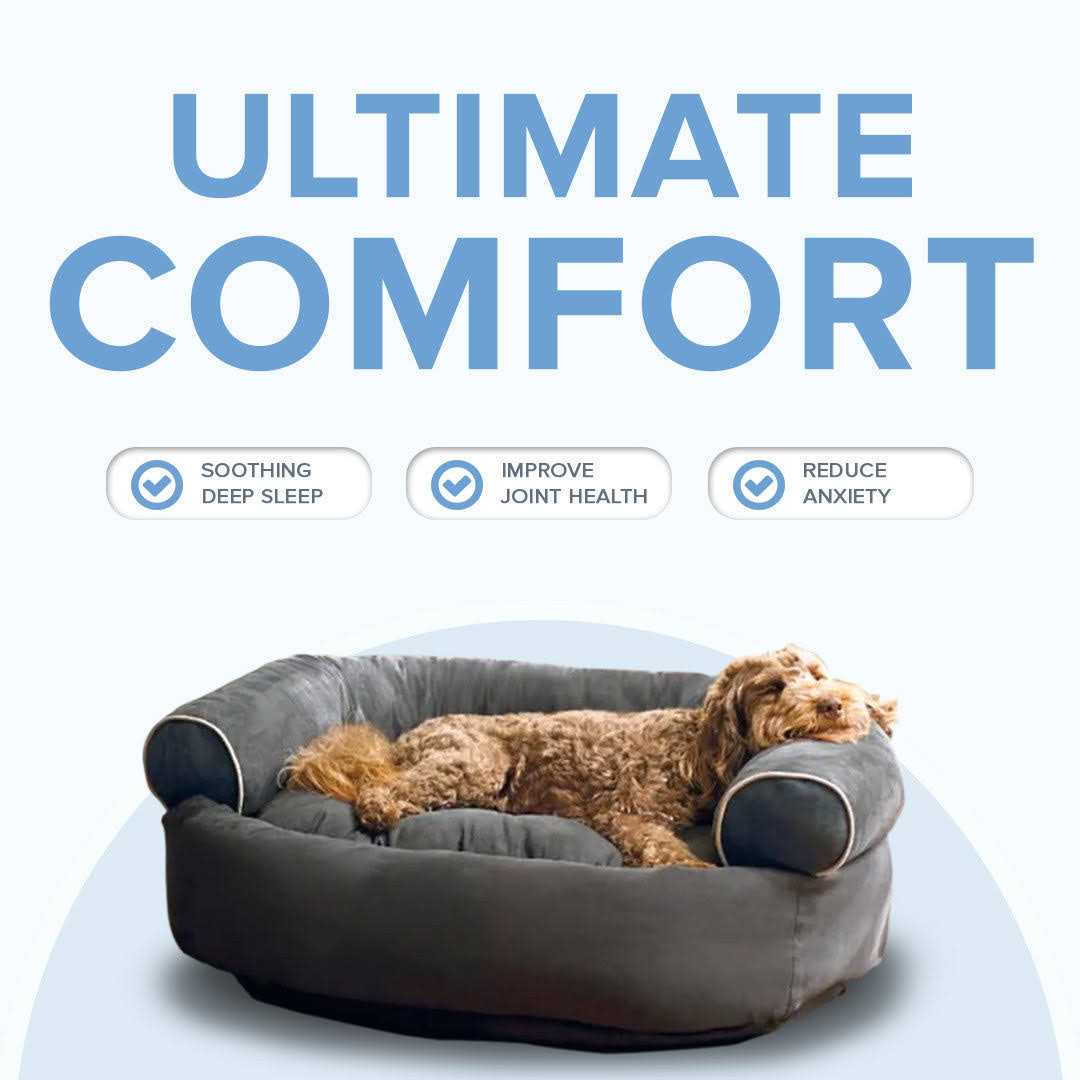 Orthopedic Anti-Anxiety Dog Sofa D49277