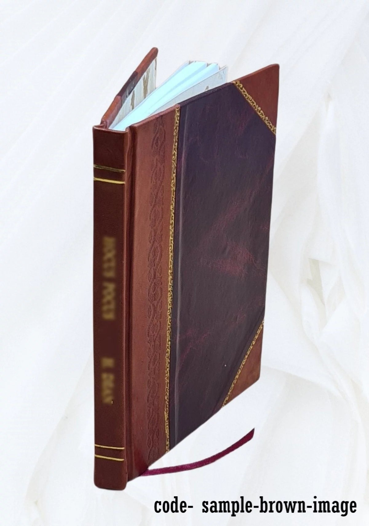 Leather Bound V55495