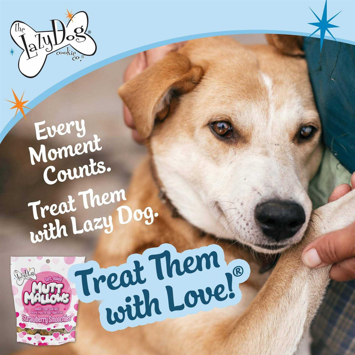 Pet Supplies W716816