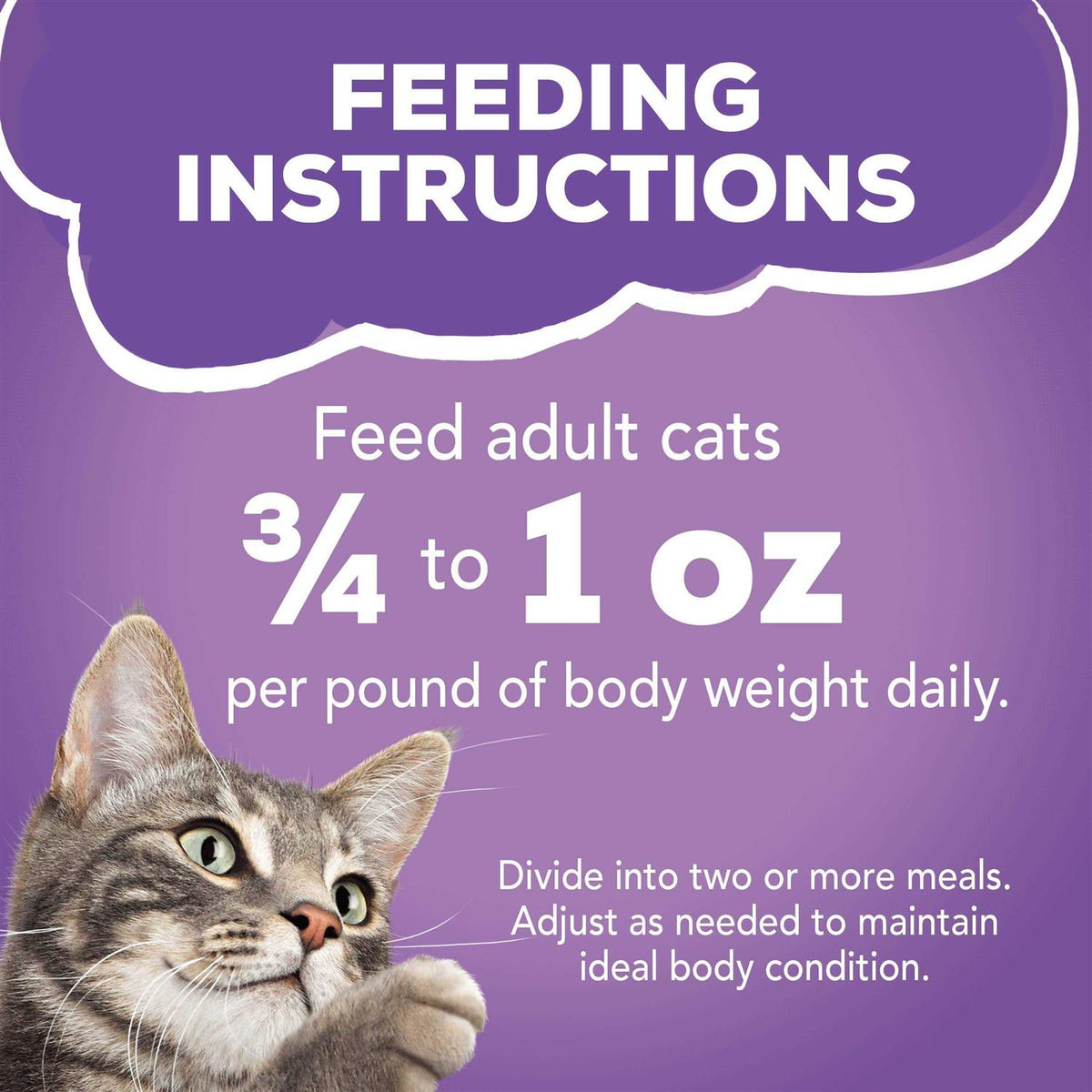 Wet Cat Food E11630