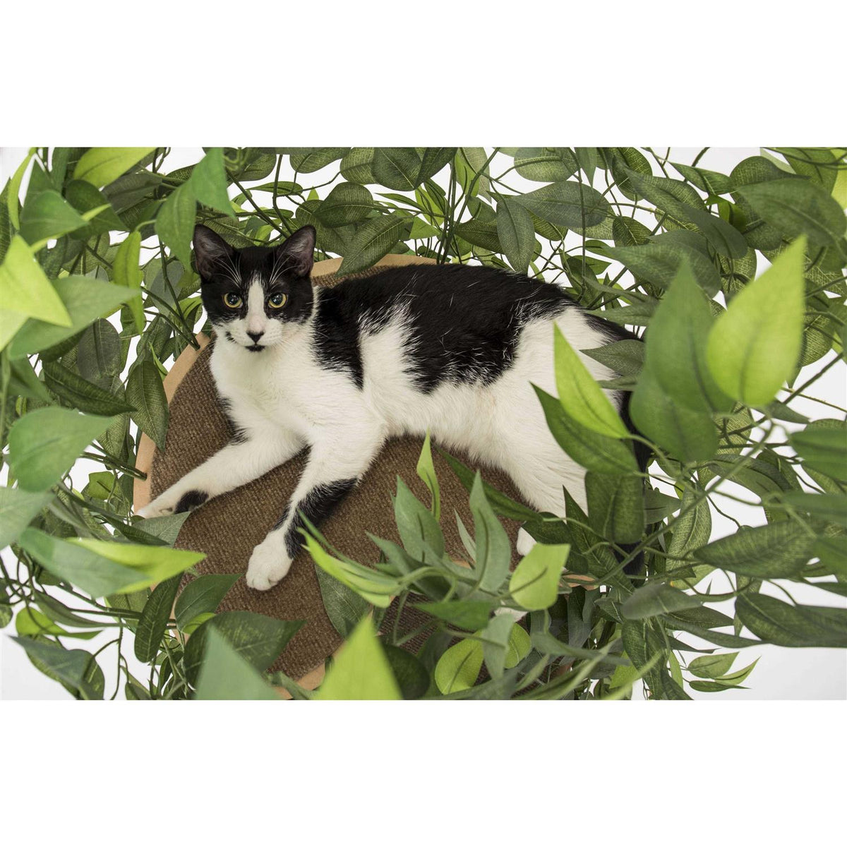 Cat Tree with Leaves Cat House & Cat Activity Tree K566