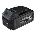 20V 5 Ah Lithium-Ion Battery R33447