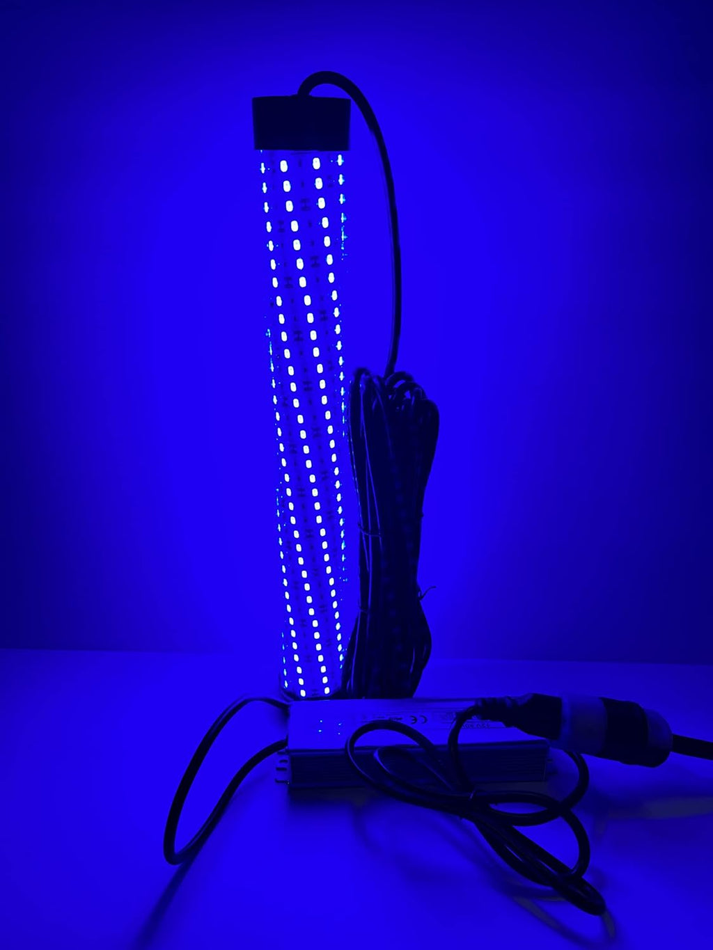 Blue 15,000 Lumen 300 LED 30ft Cord Waterproof AC Underwater Fishing Light K221