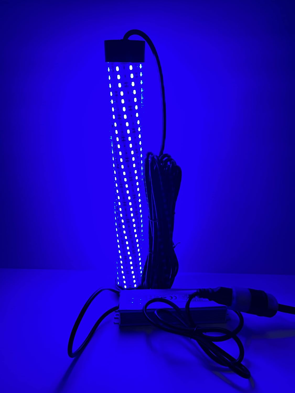 Blue 15,000 Lumen 300 LED 30ft Cord Waterproof AC Underwater Fishing Light K221