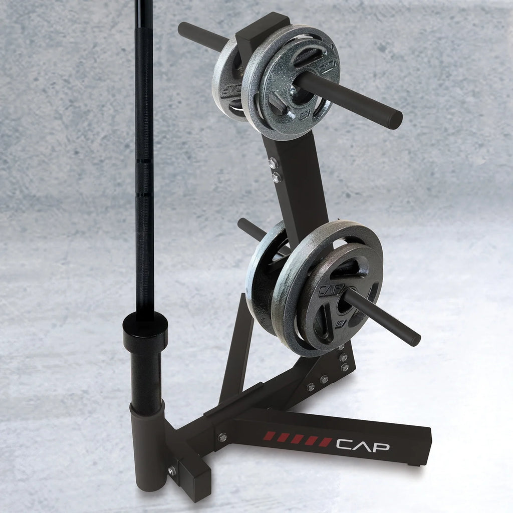 Hybrid Olympic and Standard Weight Plate Storage Rack W373