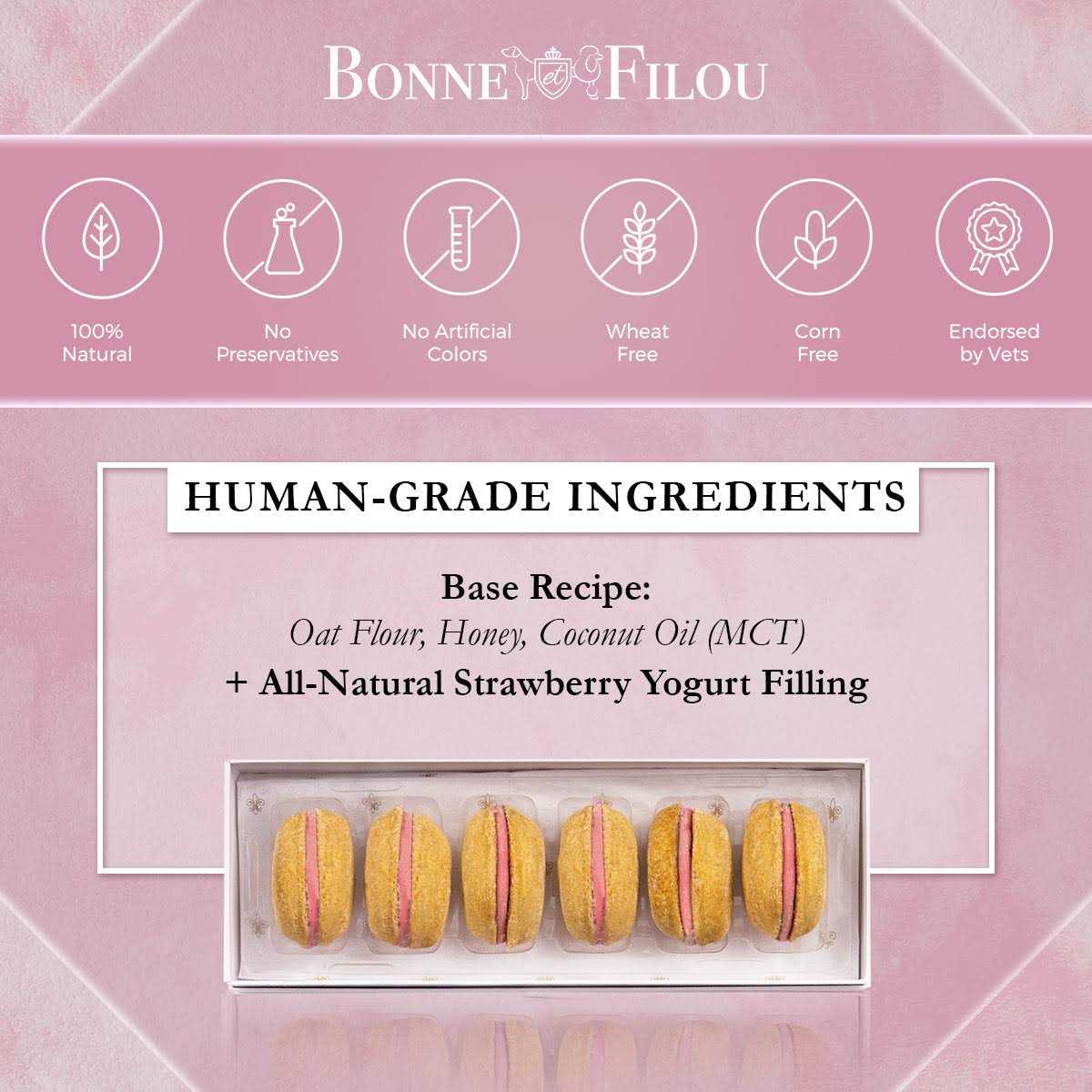 Dog Macarons Y24420