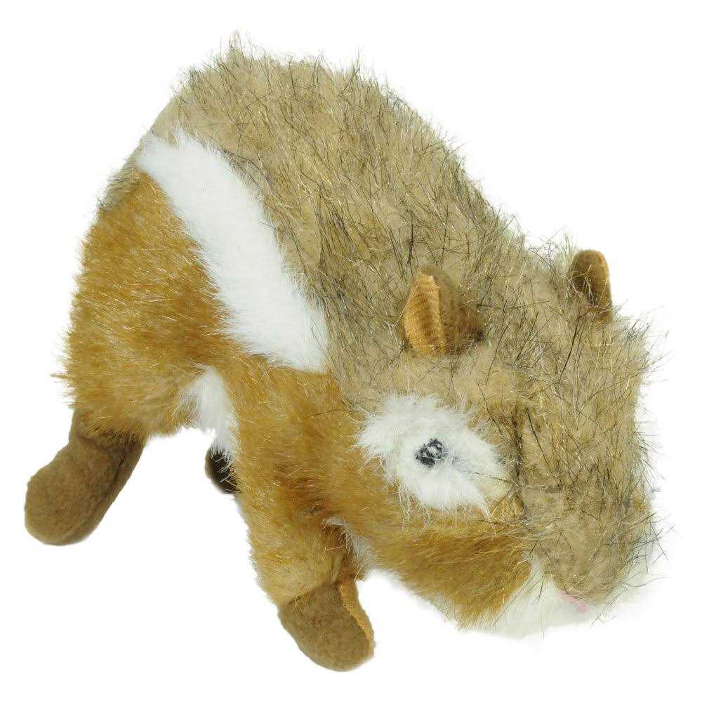 Dog Wildlife Chipmunk L188122