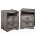Gray Modern Nightstand Set of 2 P345