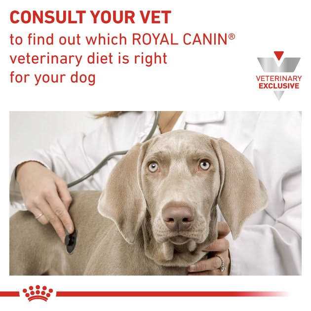 Veterinary Diet Canned Dog Food H933361