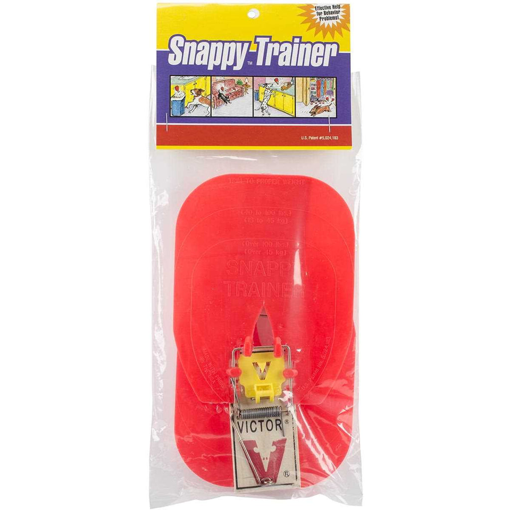 Snappy Trainer G984