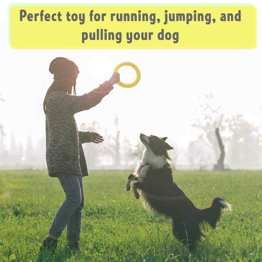Dog Training Ring and Flying Disc Interactive Toy W680