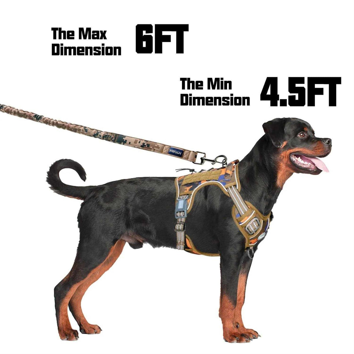 Heavy Duty Bungee Dog Leash I707