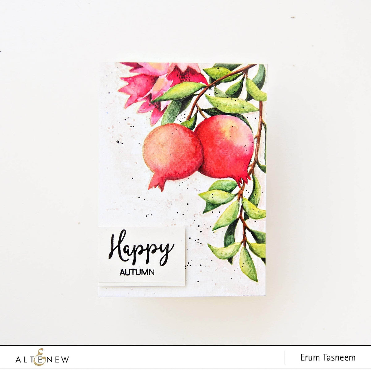 Cardmaking Kit S736646