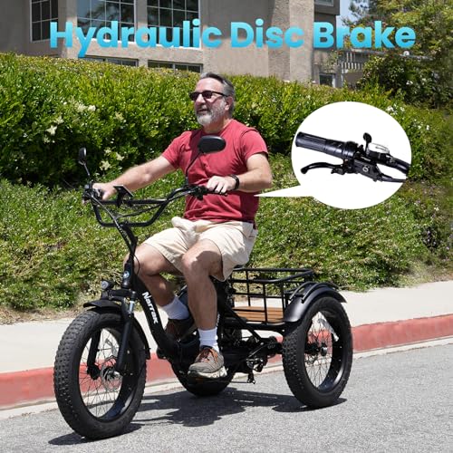 750W 48V13Ah 20"x4.0" Aluminum Folding Fat Tire 3 Wheel Electric Trike F337281