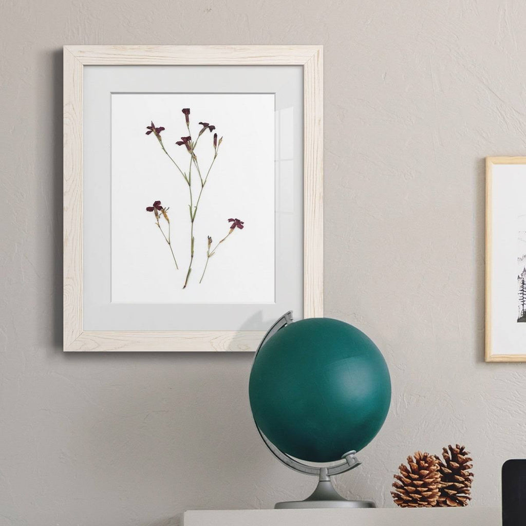Framed Print 27.5X37.5 Black R215