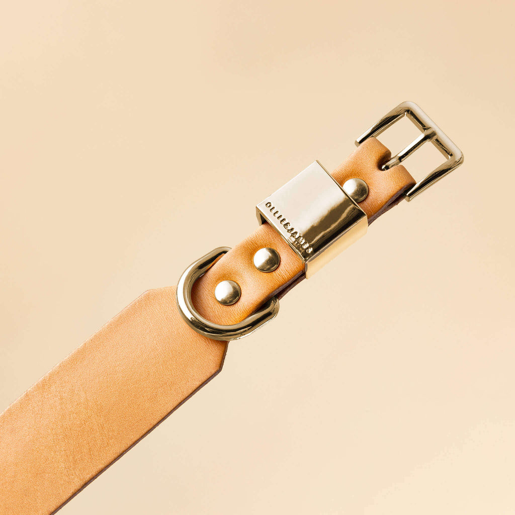 Camel Leather Dog Collar E731924