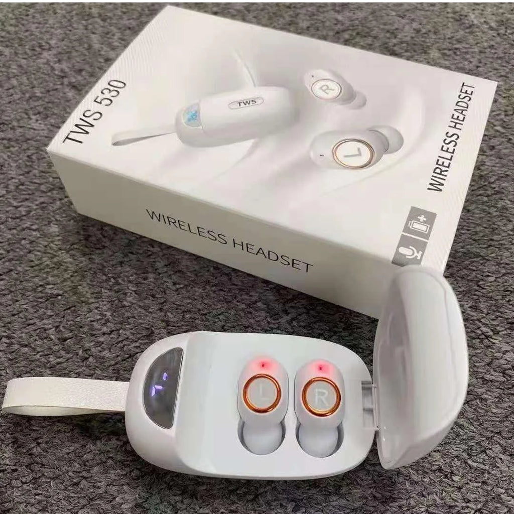 Wireless Earbuds with 2000mAh Charging Case R9742