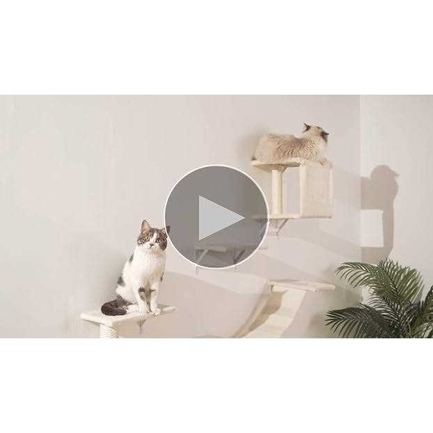 Wall-Mounted Wooden Cat Shelves and Climber C9827
