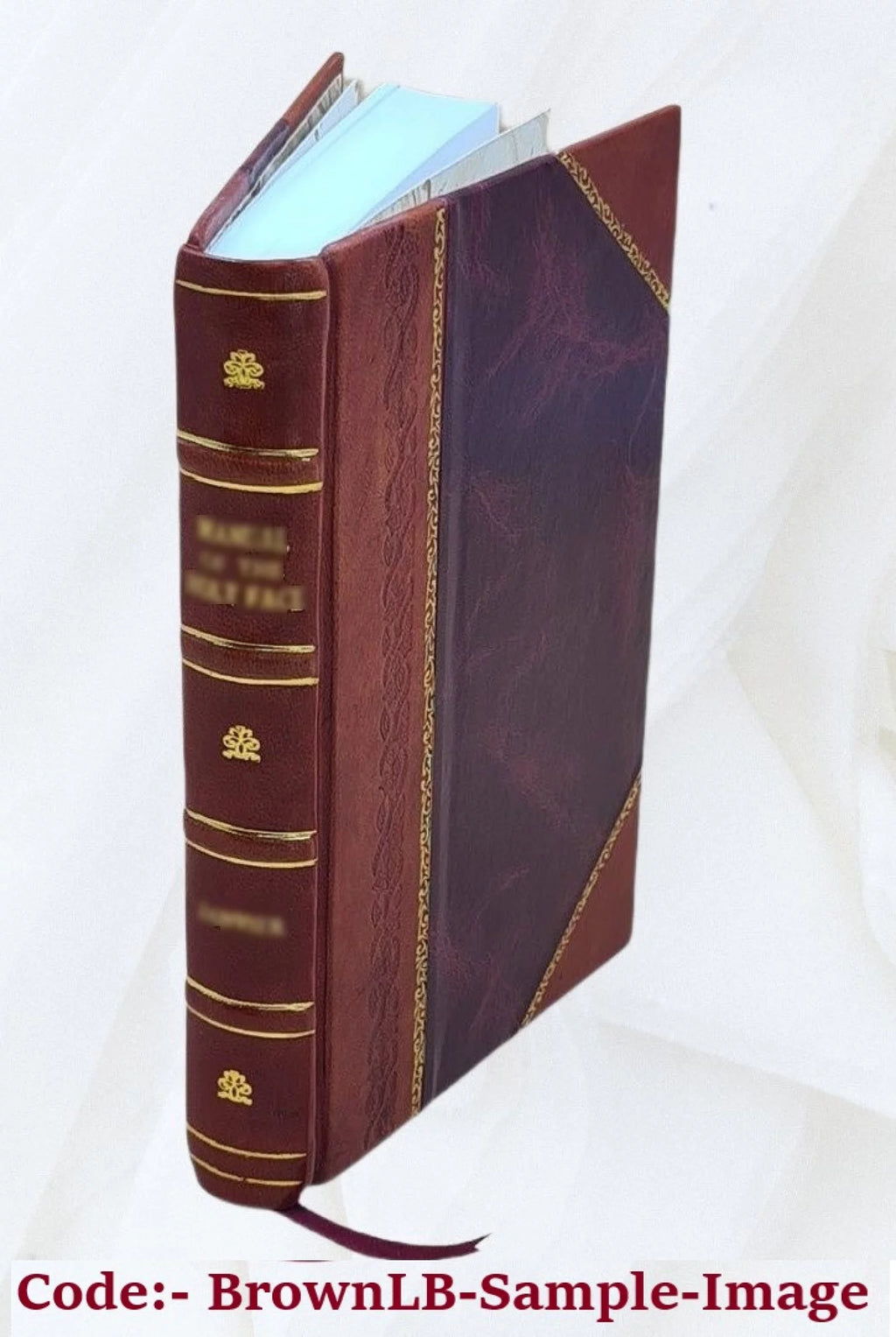 Leather Bound S7314