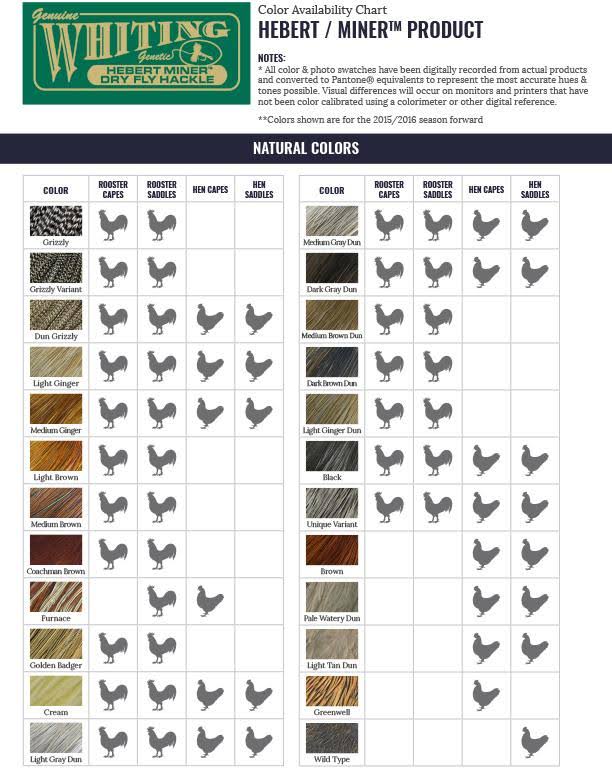 Silver 1/2 Saddle Medium Brown Dun N273