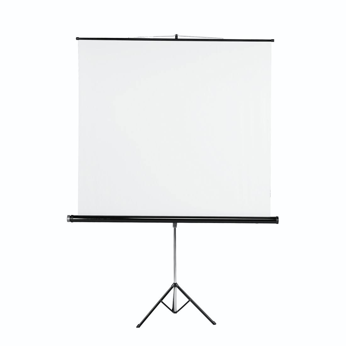 Projection Screen H73081