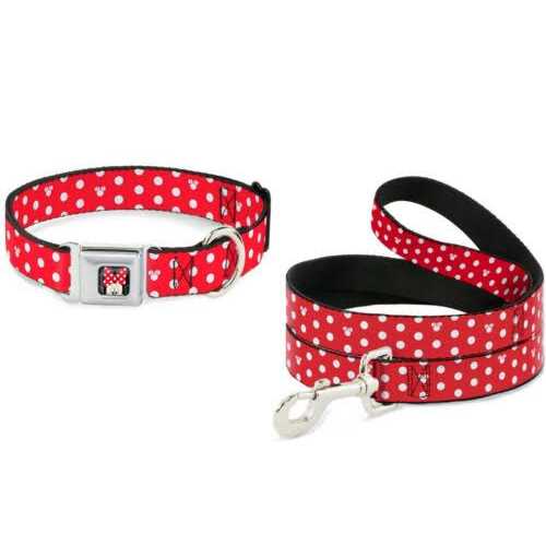 Dog Leash U435189