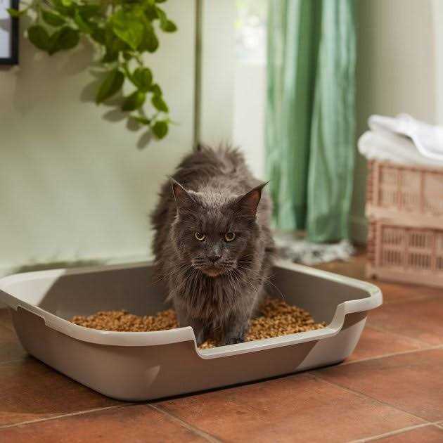 All-Natural Cat Litter A52245